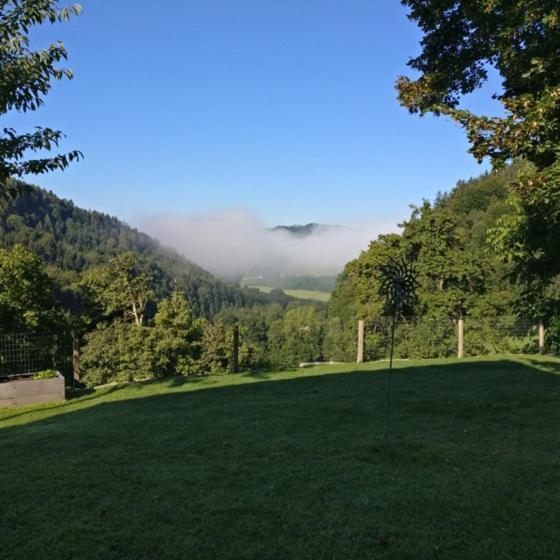 Ferienwohnung Schlosek In Der Nationalparkregion Kalkalpen Forstau  Esterno foto