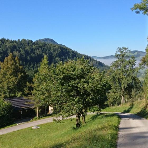 Ferienwohnung Schlosek In Der Nationalparkregion Kalkalpen Forstau  Esterno foto